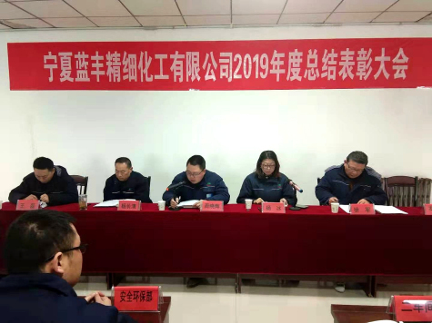 寧夏藍豐隆重召開(kāi)2019年度總結表彰大會(huì )