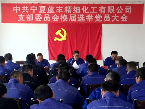 寧夏藍豐順利完成黨支部換屆改選工作