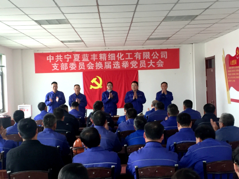 寧夏藍豐順利完成黨支部換屆改選工作