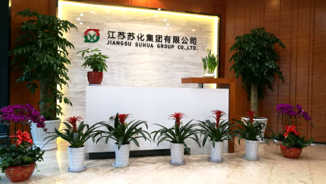 掛燈籠，貼春聯(lián)  蘇化科技園內年味濃