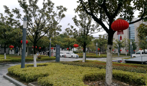 掛燈籠，貼春聯(lián)  蘇化科技園內年味濃