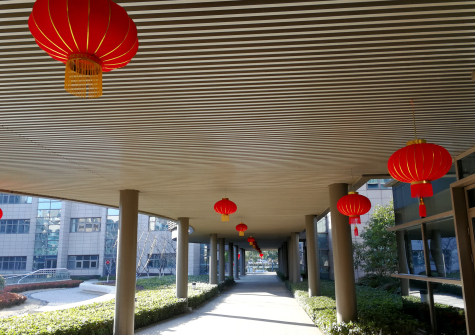 掛燈籠，貼春聯(lián)  蘇化科技園內年味濃