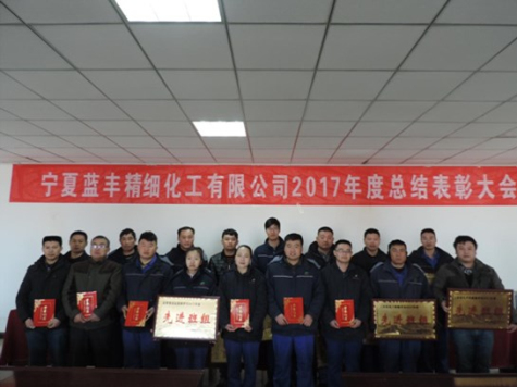 寧夏藍豐公司召開(kāi)2017年度總結表彰大會(huì )